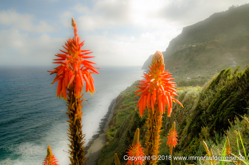 Westküste Madeira